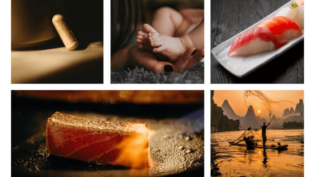 Perguntas reais de membros: atum selvagem, colostro bovino, metabolismo de oxalatos e mais!